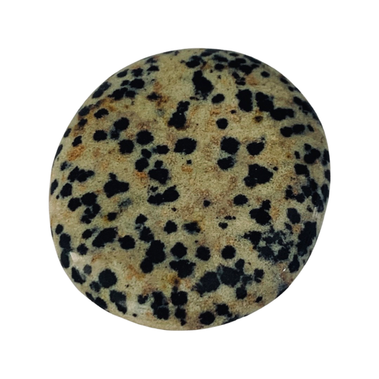Dalmatian Jasper - Pocket Palm Stone